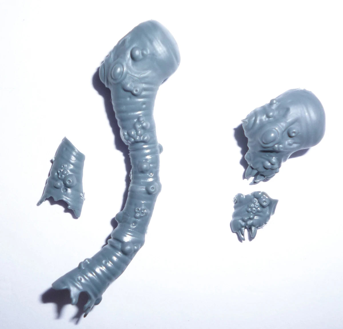 Warhammer Maggotkin of Nurgle Plague Drones Rot Fly Heads C Bits Bitz