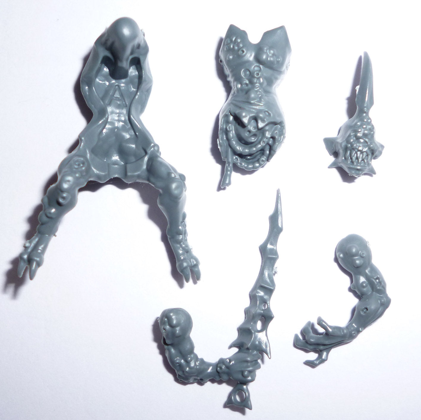 Maggotkin of Nurgle Plague Drones Plague Bearer A - Age of Sigmar - Authentic Sprue