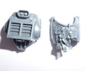 Grey Knights Terminator Squad Torso C - Warhammer - Authentic Sprue