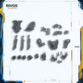 Warhammer 40K Space Wolves Thunderwolf Cavalry Accessories - Bits (Bitz)