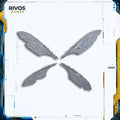 Warhammer Maggotkin of Nurgle Pusgoyle Blightlords Rot Fly Wings B - Bits (Bitz)