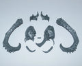 Warhammer Ogor Mawtribes Thundertusk Head Bits Bitz