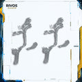 Warhammer High Elf Realms White Lions of Chrace Horn x 2 - Bits (Bitz)