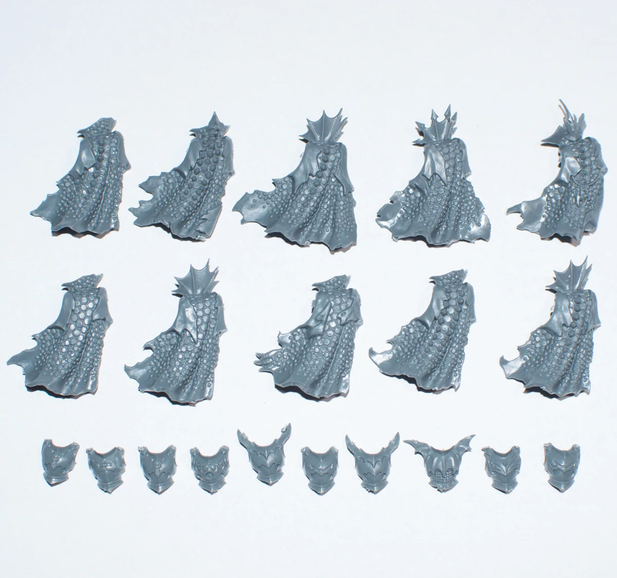 Warhammer Cities of Sigmar Black Ark Corsairs Sea Dragon Torso x 10  Bits Bitz