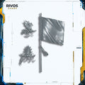 Warhammer Cities of Sigmar Black Ark Corsairs Standard Bearer - Bits (Bitz)