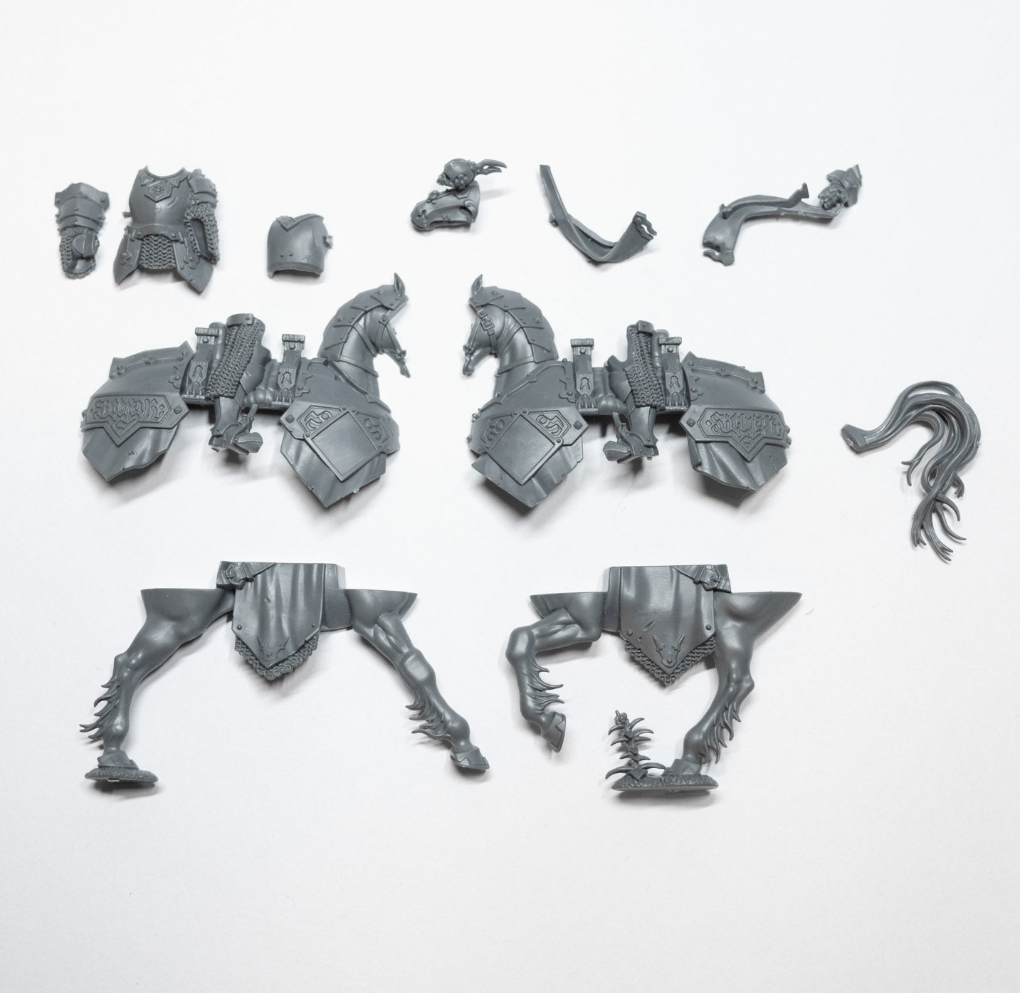 Cities of Sigmar Freeguild Cavaliers Cavalier B - Age of Sigmar - Authentic Sprue