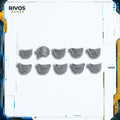 Warhammer 40K Orks Ork Flash Gitz Shoulder Pads x 10 - Bits (Bitz)