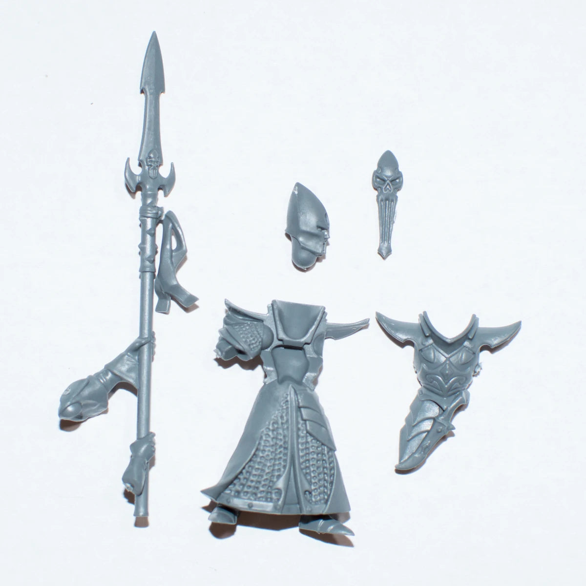Warhammer Cities of Sigmar Scourgerunner Chariot Charioteer A  Bits Bitz