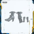 Warhammer 40K Adepta Sororitas Celestian Sacresants Legs and Torso A - Bits (Bitz)