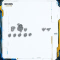 Warhammer 40K Blood Angels Upgrades Accessories - Bits (Bitz)