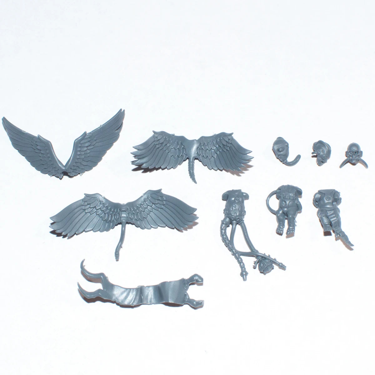 Warhammer 40K Adepta Sororitas Triumph of Saint Katherine Cherubs B Bits Bitz