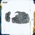 Warhammer 40K Dark Angels Lion El'Jonson Scenic Base - Bits (Bitz)