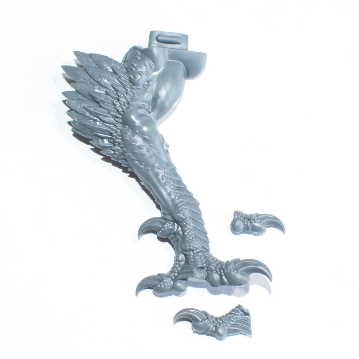 Warhammer Stormcast Eternals Lord Aquilor Gryph Charger Front Leg B Bits Bitz