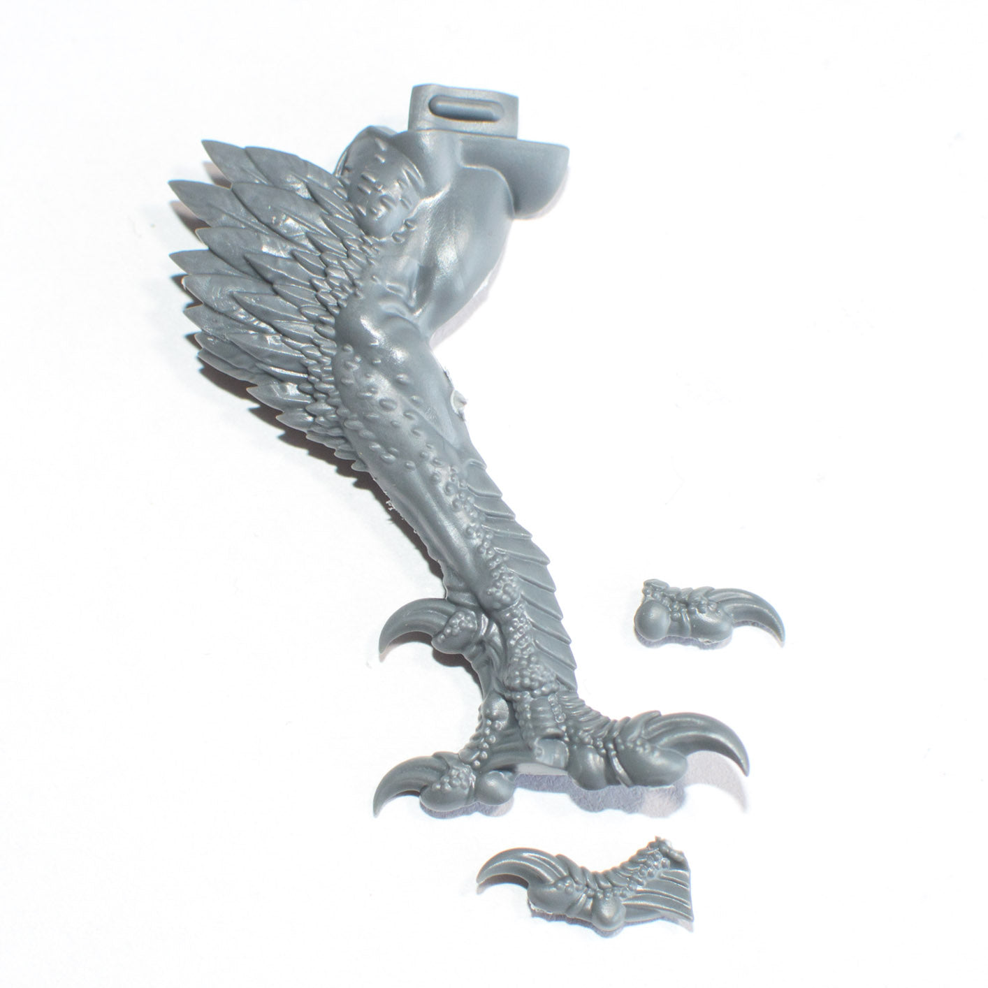 Stormcast Eternals Lord Aquilor Gryph Charger Front Leg B - Age of Sigmar - Spare Part