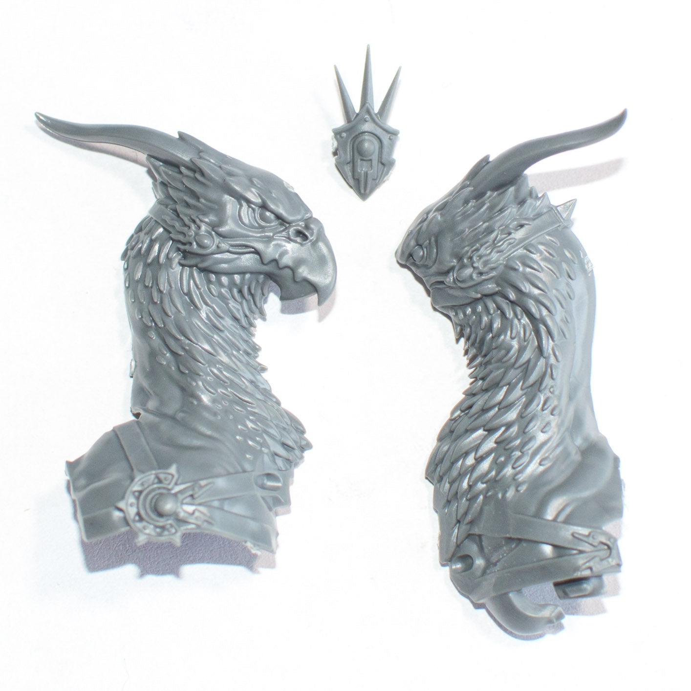 Stormcast Eternals Lord Aquilor Gryph Charger Head - Age of Sigmar - Conversion Part