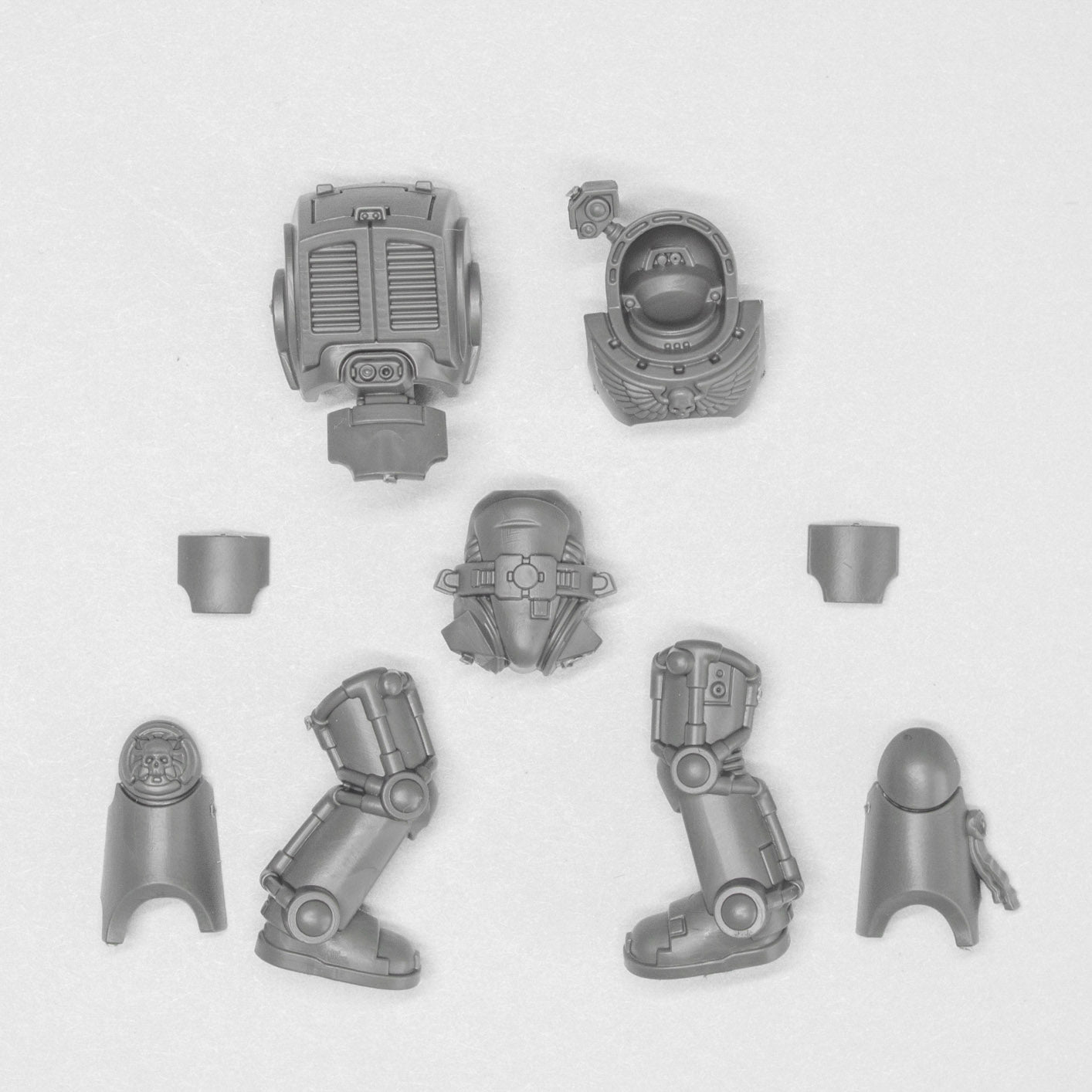 Space Marines Terminator Squad Body B - Space Marines - Authentic Sprue