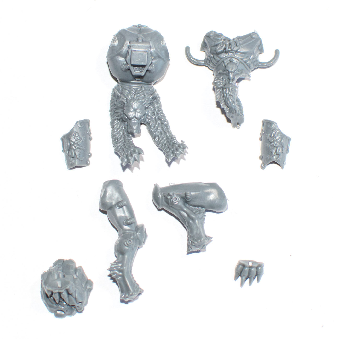 Space Wolves Wulfen Legs and Torso A - Warhammer - Spare Part