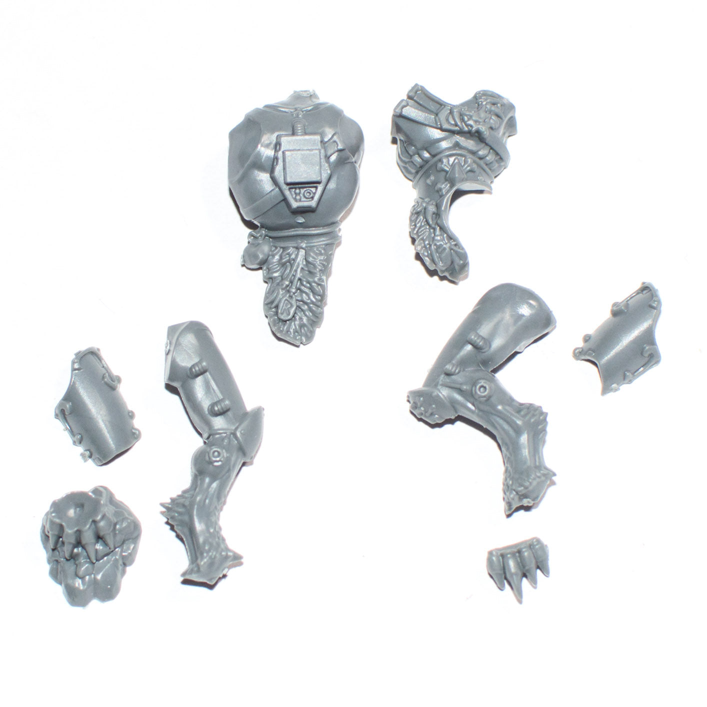 Space Wolves Wulfen Legs and Torso E - Warhammer - Authentic Sprue