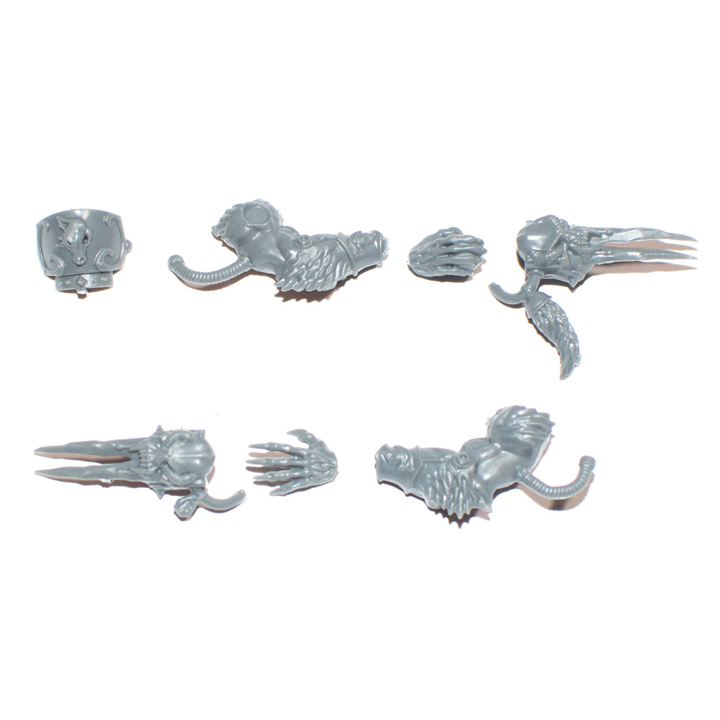 Space Wolves Wulfen Frost Claws D - Warhammer - Kitbash Bit