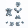 Warhammer 40K Leagues of Votann Einhyr Hearthguard Body D Bits Bitz