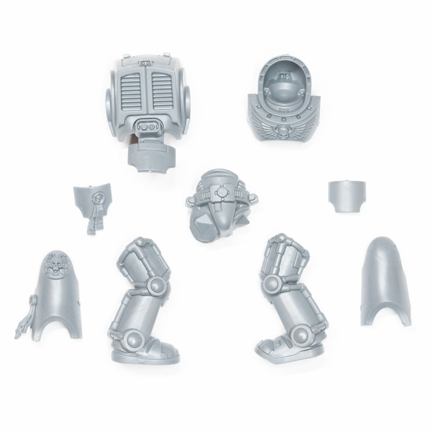 Primaris Space Marines Terminator Assault Squad Legs and Torso B - Space Marines - Authentic Sprue