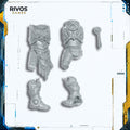 Horus Heresy Legio Custodes Sentinel Guard Sodality Body C Bits Bitz