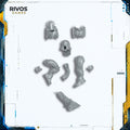Horus Heresy Legio Custodes Venatari Sodality Body B Bits Bitz