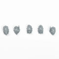 Warhammer Necromunda Van Saar Weapons & Upgrades Heads x 5 Bits